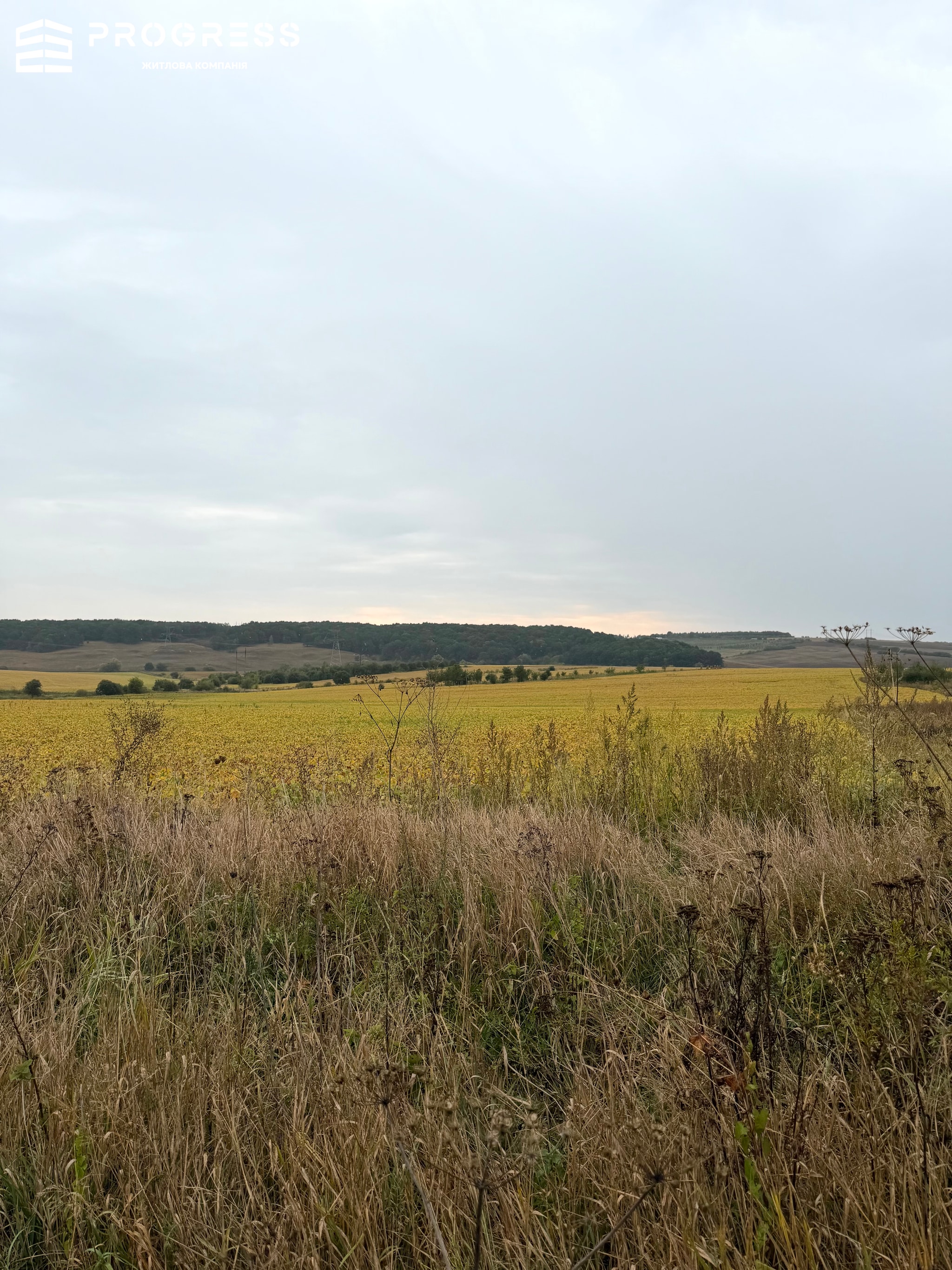 Land plot for rent in the village of Kolodiyivka, 5 minutes from the city - 7