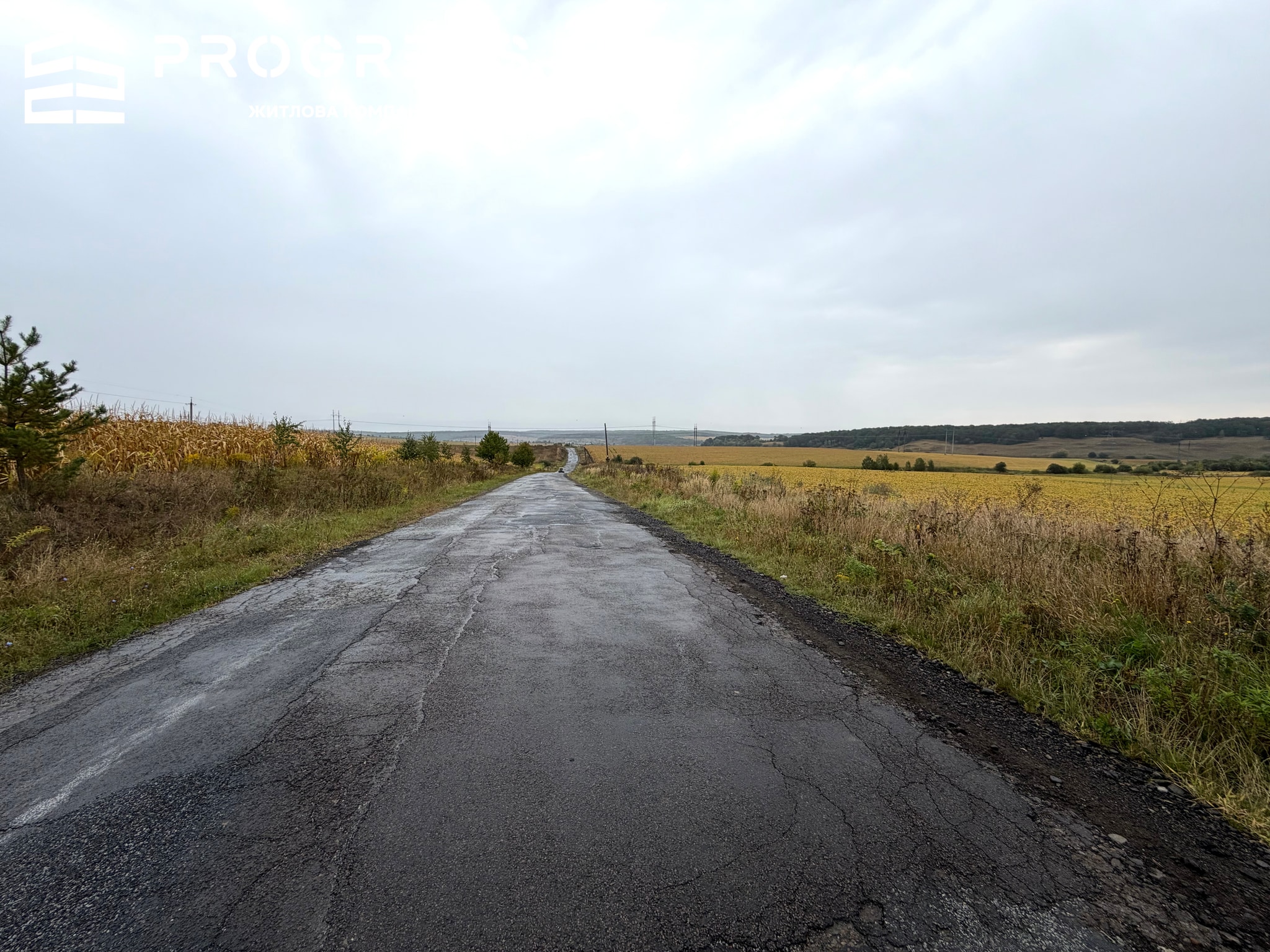 Land plot for rent in the village of Kolodiyivka, 5 minutes from the city - 5