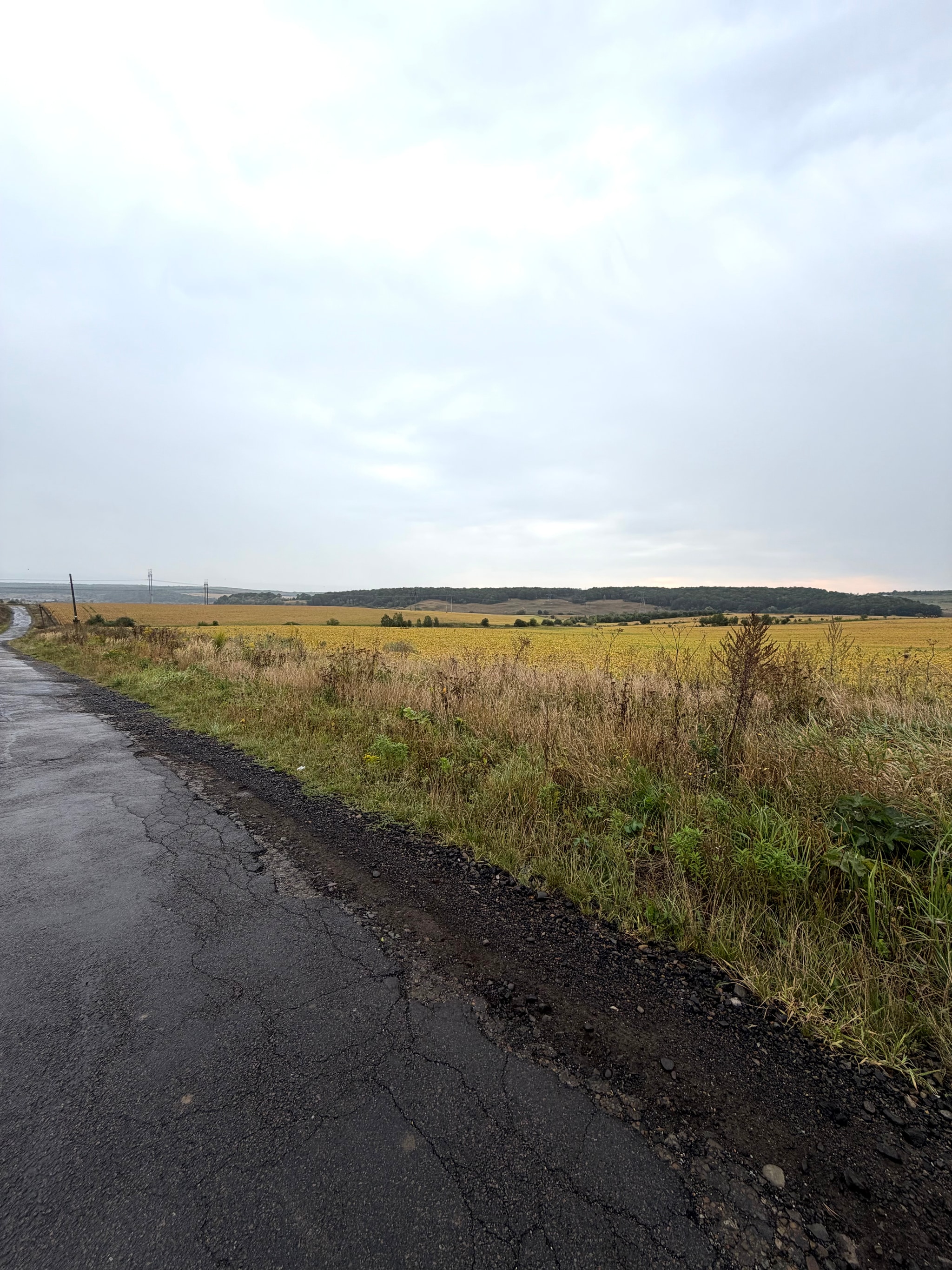 Land plot for rent in the village of Kolodiyivka, 5 minutes from the city - 8