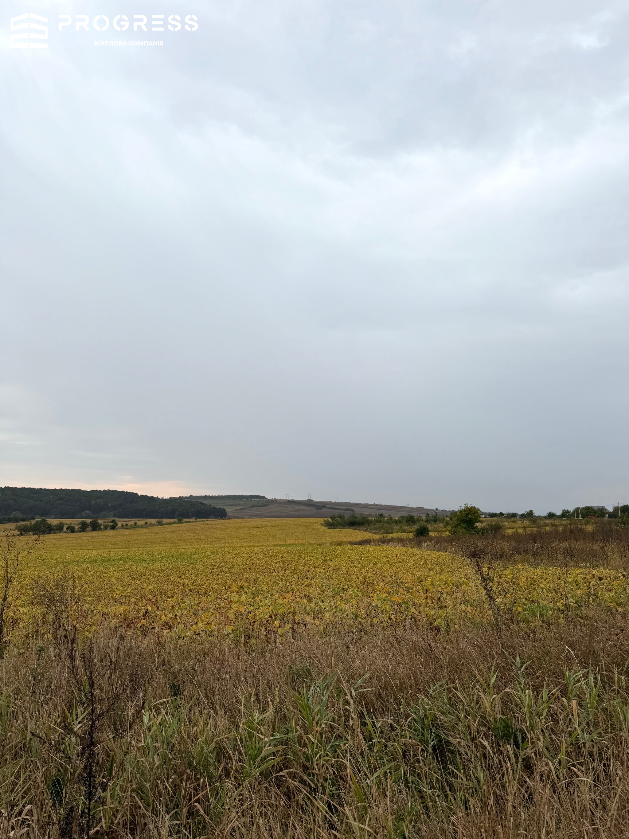 Land plot for rent in the village of Kolodiyivka, 5 minutes from the city - 6
