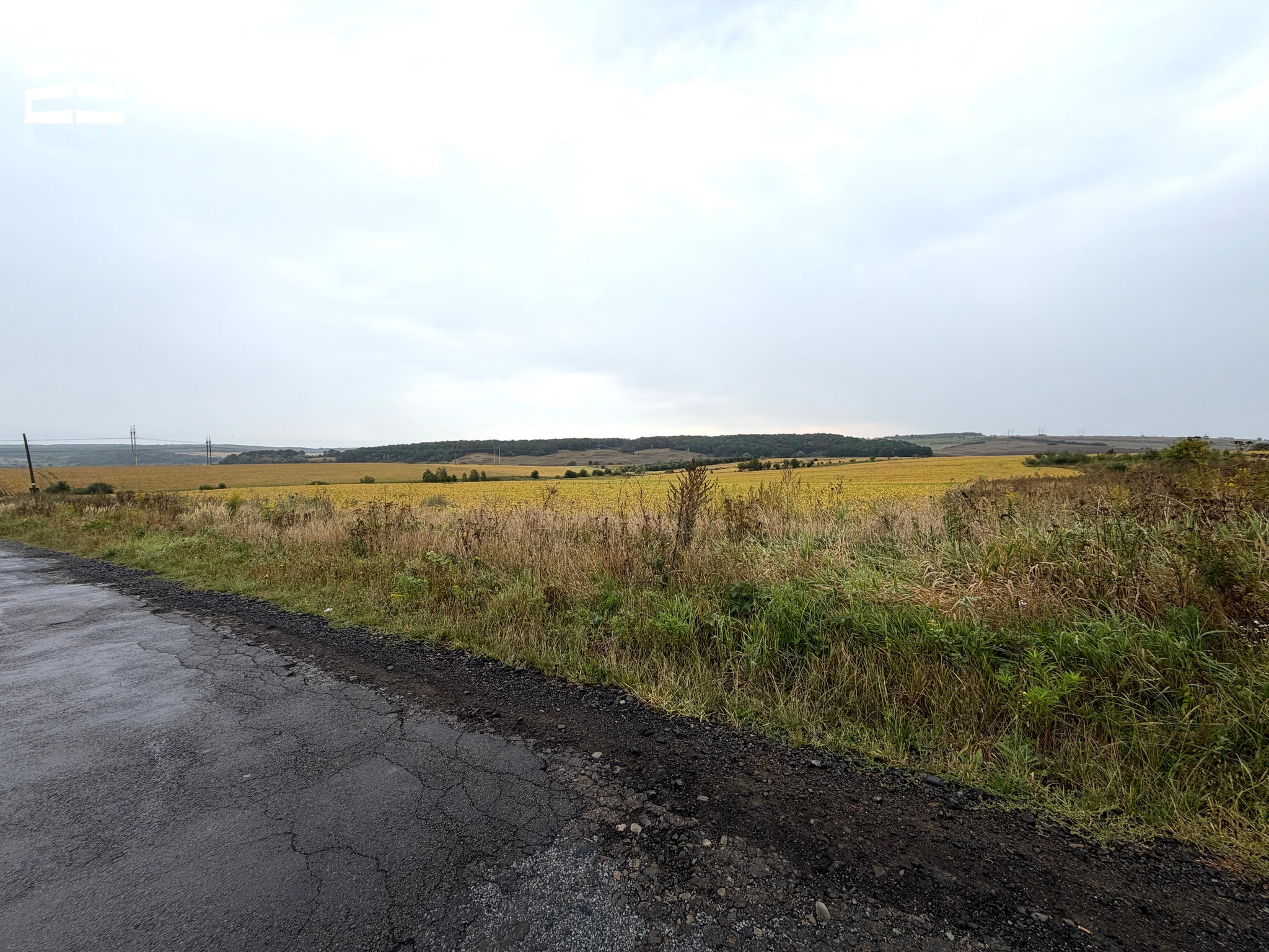 Land plot for rent in the village of Kolodiyivka, 5 minutes from the city - 1